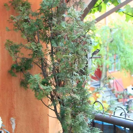 Balkon Med Udsigt Midt I Apartament *